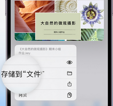 阜城apple维修中心分享iPhone文件应用中存储和找到下载文件