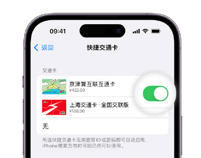 阜城apple维修点分享iPhone上更换Apple Pay快捷交通卡手绘卡面 