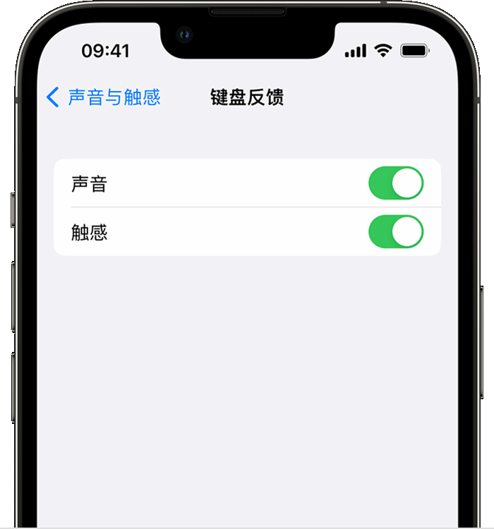 阜城苹果14维修店分享如何在 iPhone 14 机型中使用触感键盘 