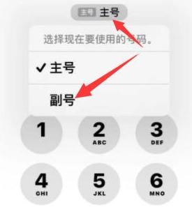 阜城苹果14维修店分享iPhone 14 Pro Max使用副卡打电话的方法 