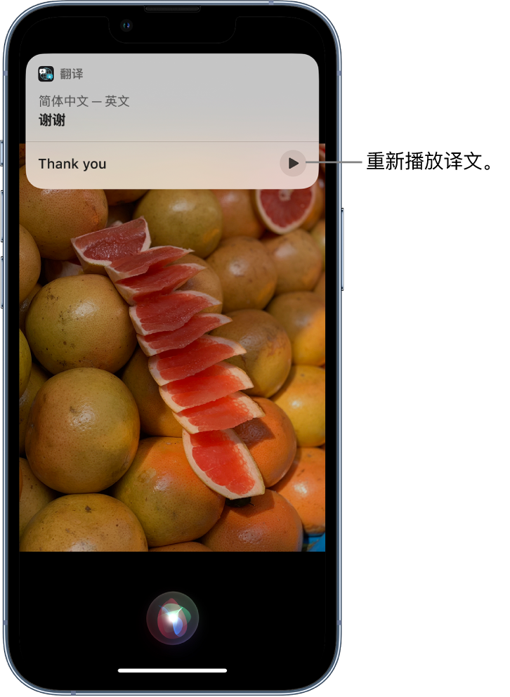 阜城苹果14维修分享 iPhone 14 机型中使用 Siri：了解 Siri 能帮你做什么 