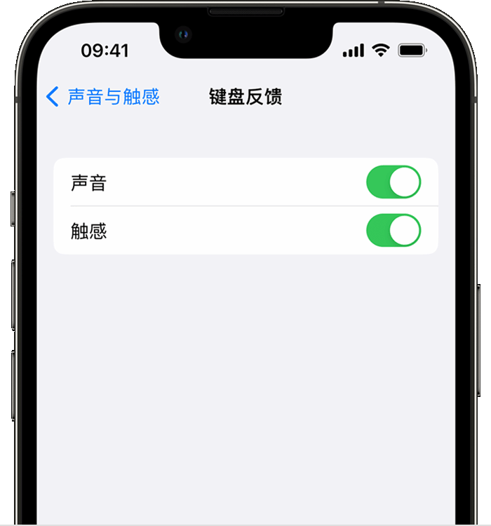 阜城苹果14维修分享iPhone 14 系列机型如何开启键盘声音或触感反馈 