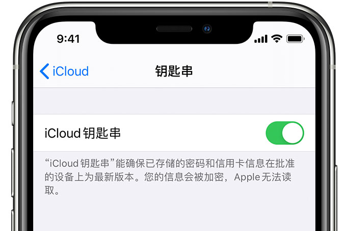 阜城苹果手机维修分享在 iPhone 上开启 iCloud 钥匙串之后会储存哪些信息 