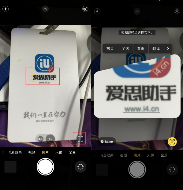 阜城苹果手机维修分享升级iOS 16后如何通过相机翻译文本 