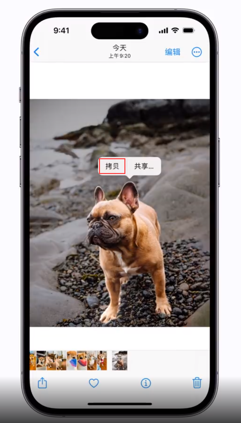 阜城苹果手机维修分享 iOS 16 自带一键抠图功能 