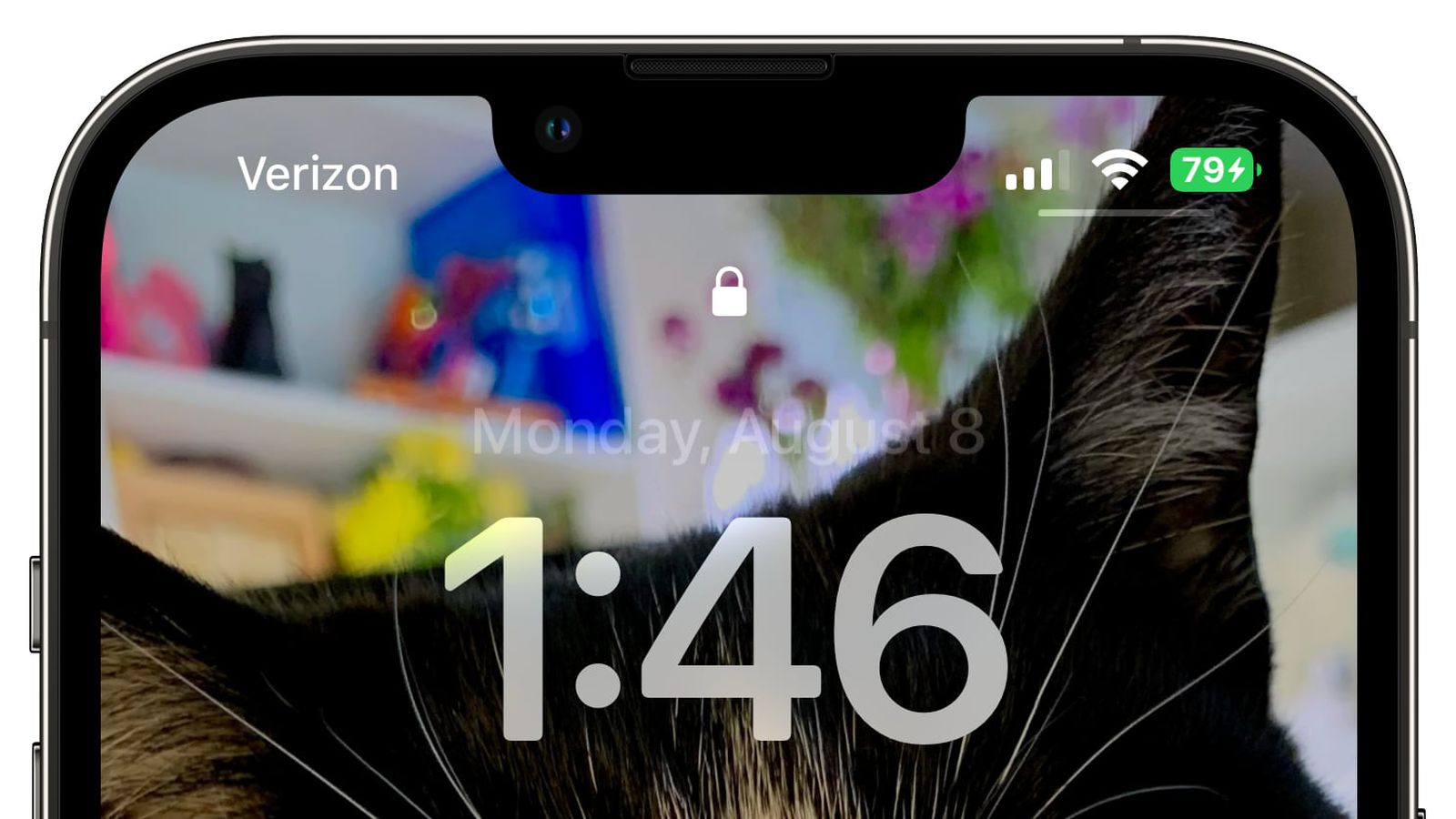 阜城苹果手机维修分享iOS 16 beta 5 支持状态栏显示电池百分比，如何开启？支持哪些机型 