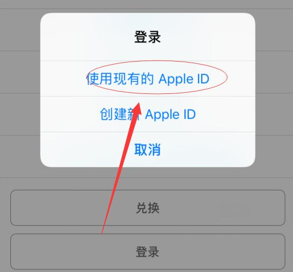 阜城苹果手机维修分享两台iPhone设备可以同时登录一个Apple ID吗 