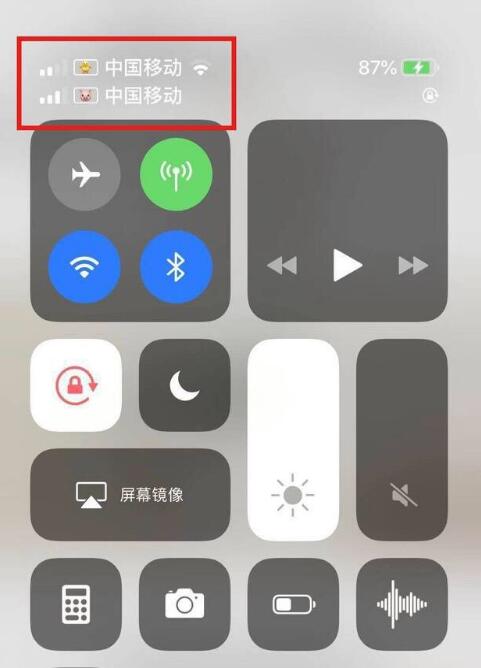 阜城苹果手机维修分享为 iPhone 12 双卡设置标签 
