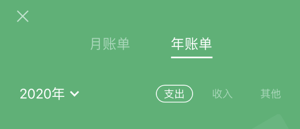 阜城苹果手机维修分享如何在 iPhone 上查看支付宝和微信年支出账单 