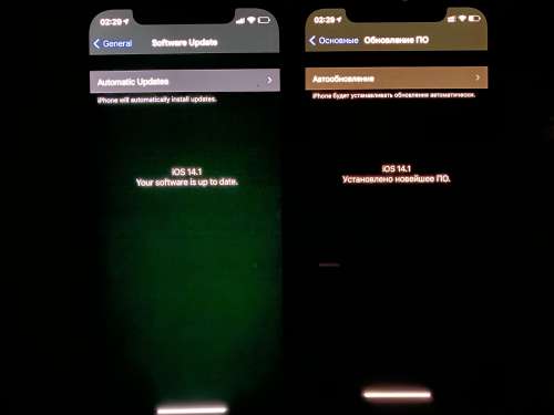 阜城苹果手机维修分享iPhone 12 显示黑色画面时发绿光怎么办 