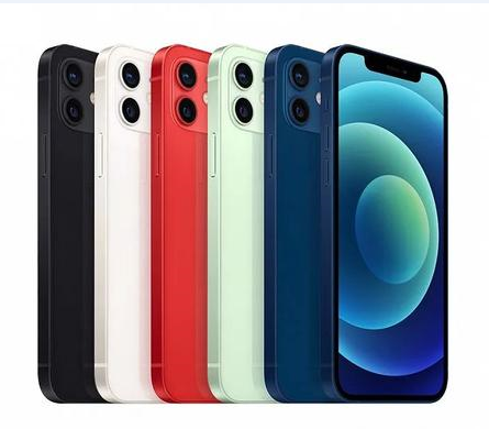 阜城苹果维修点分享iPhone 12 Pro Max黑屏冷门故障解读 