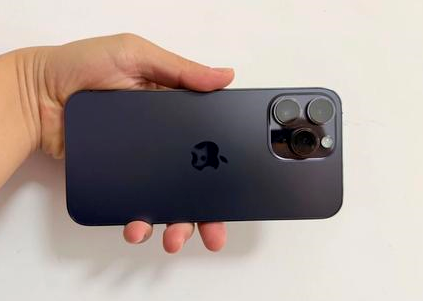 阜城苹果维修点分享iPhone 14 Pro Max黑屏少见故障盘点 